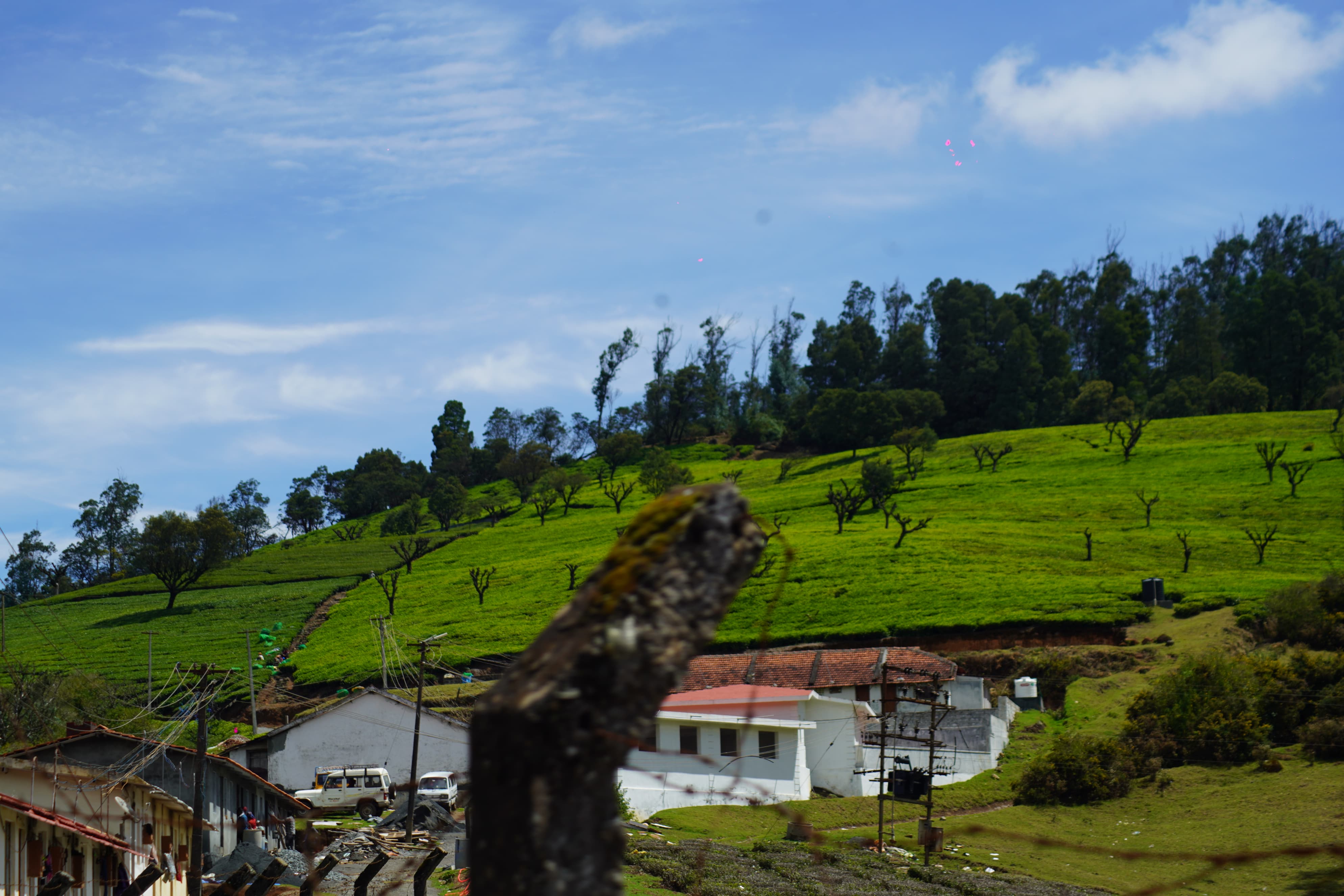 Forest Culture & Tribal Museum