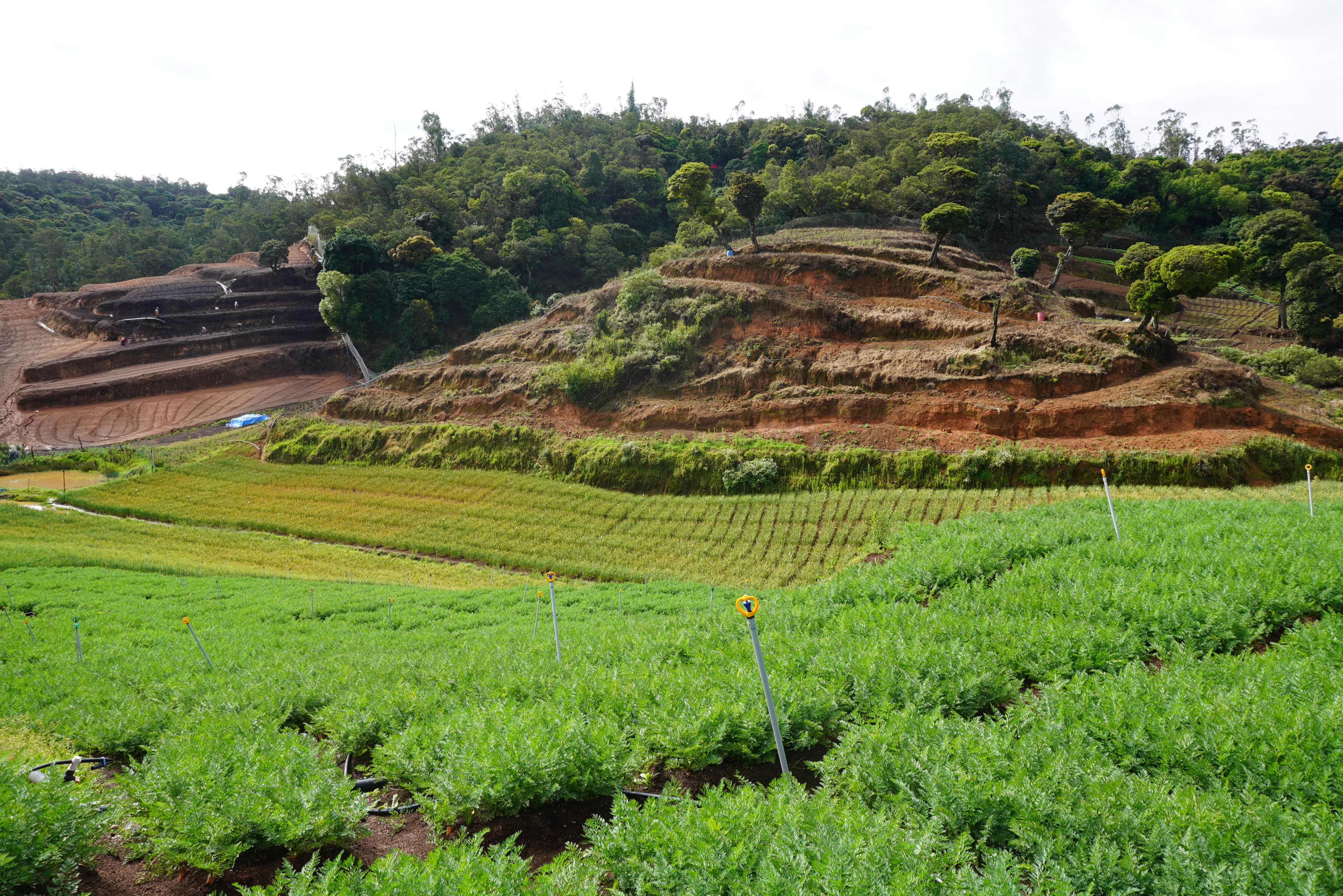 Offroading Adventure